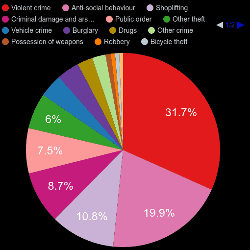 Newcastle upon Tyne crime statistics